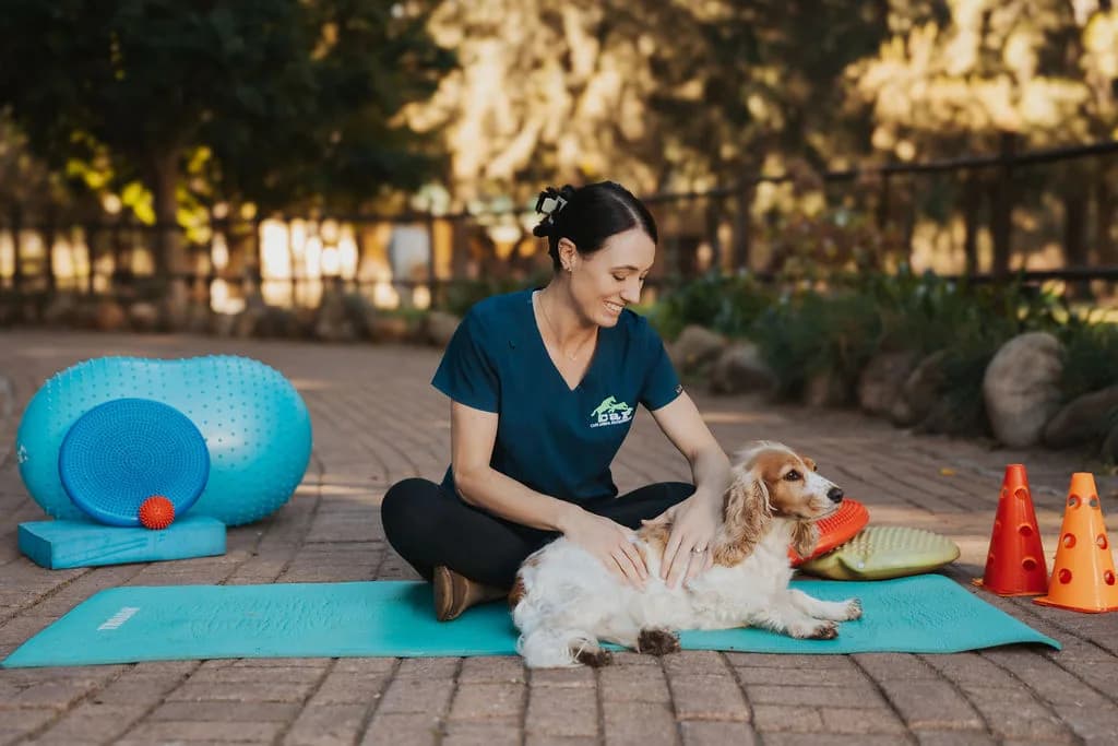 Cape Animal Physiotherapy in La Motte
