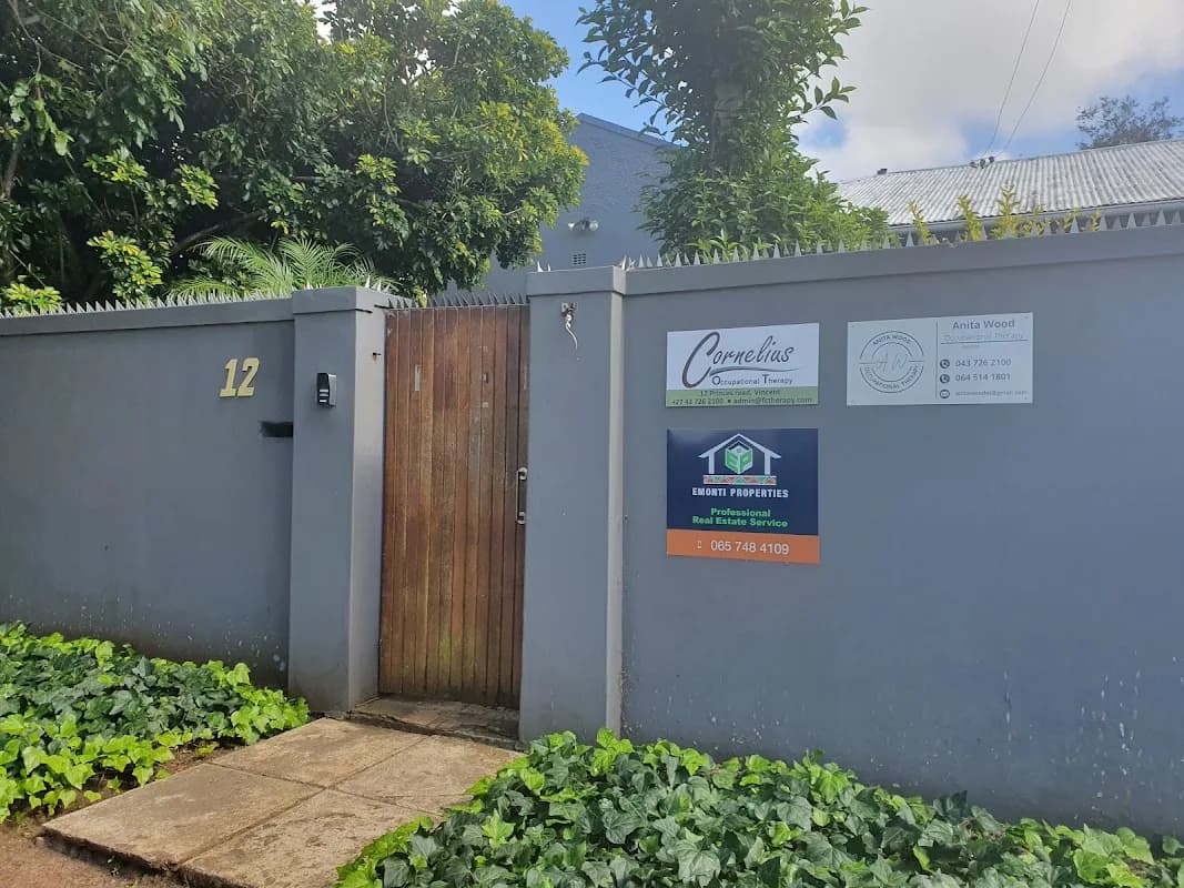 Anita Wood Occupational Therapy in Vincent