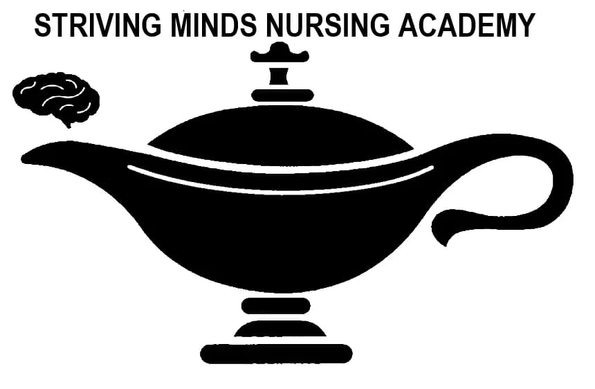 STRIVING MINDS NURSING ACADEMY in Mahikeng CBD