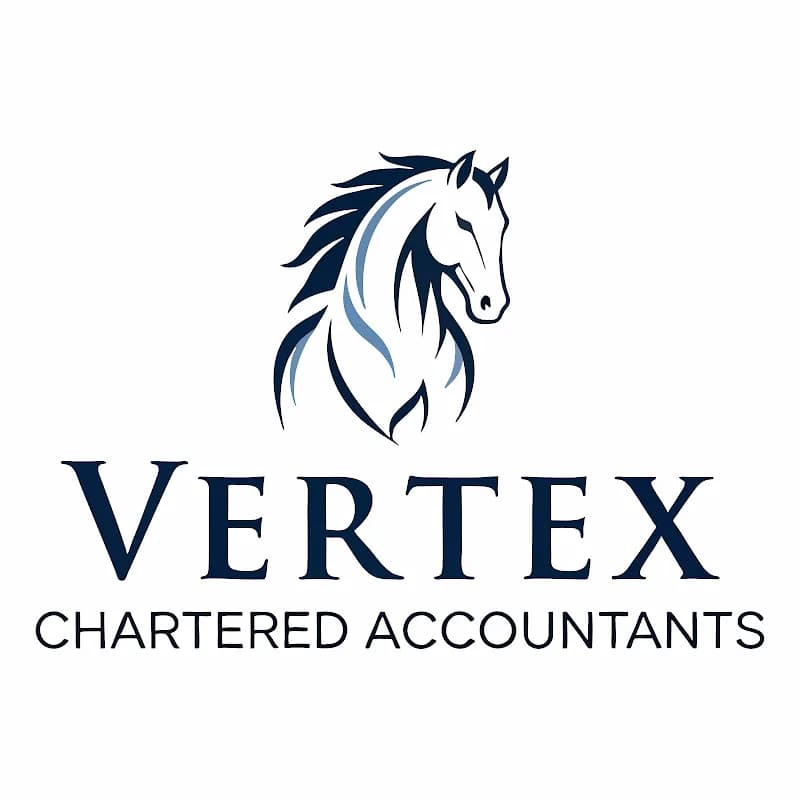 Vertex Chartered Accountants in Dobsonville