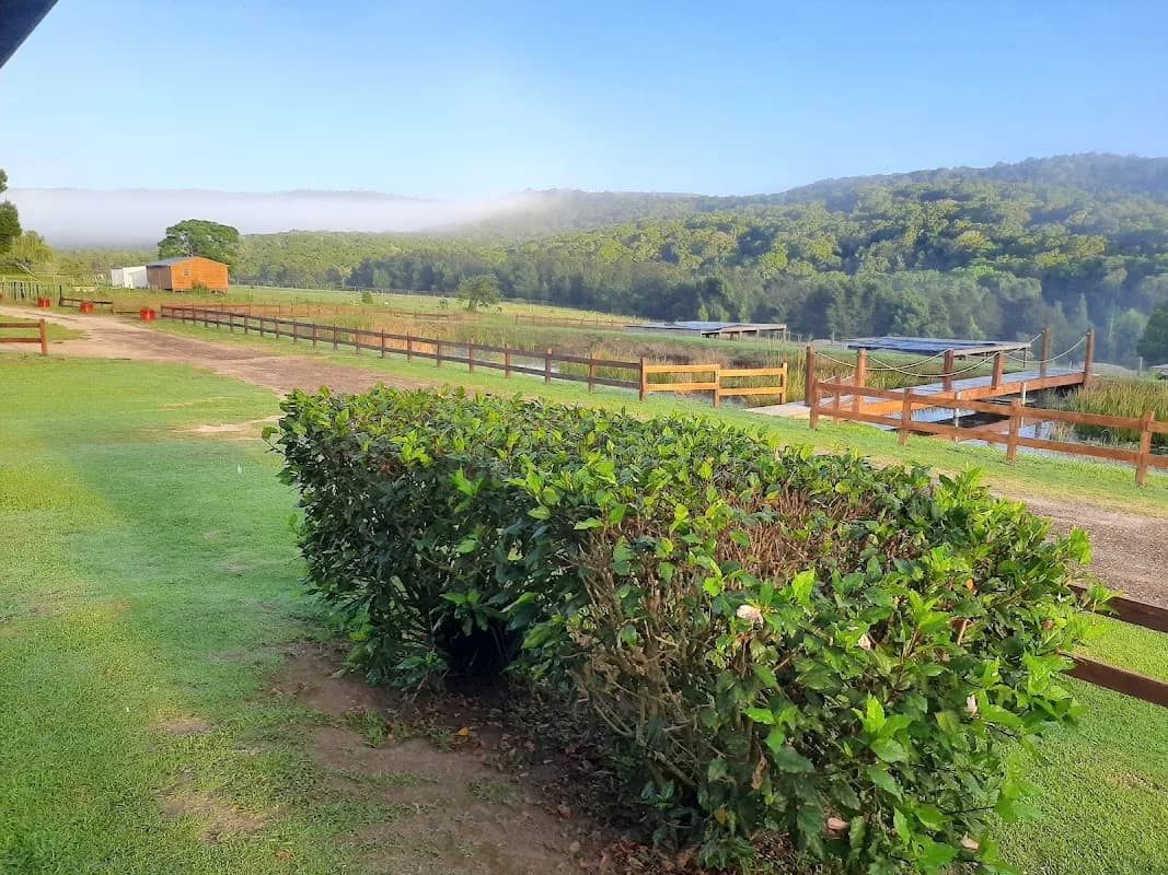Makarios Farm in Wilderness