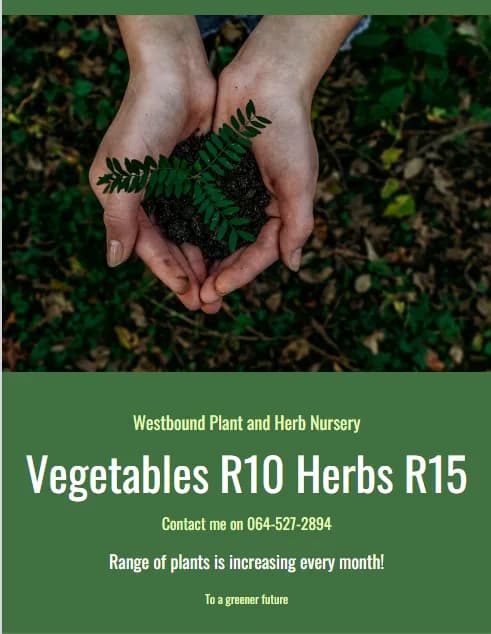 WestBound Vegetable and Herb Nursery in Weltevreden Park
