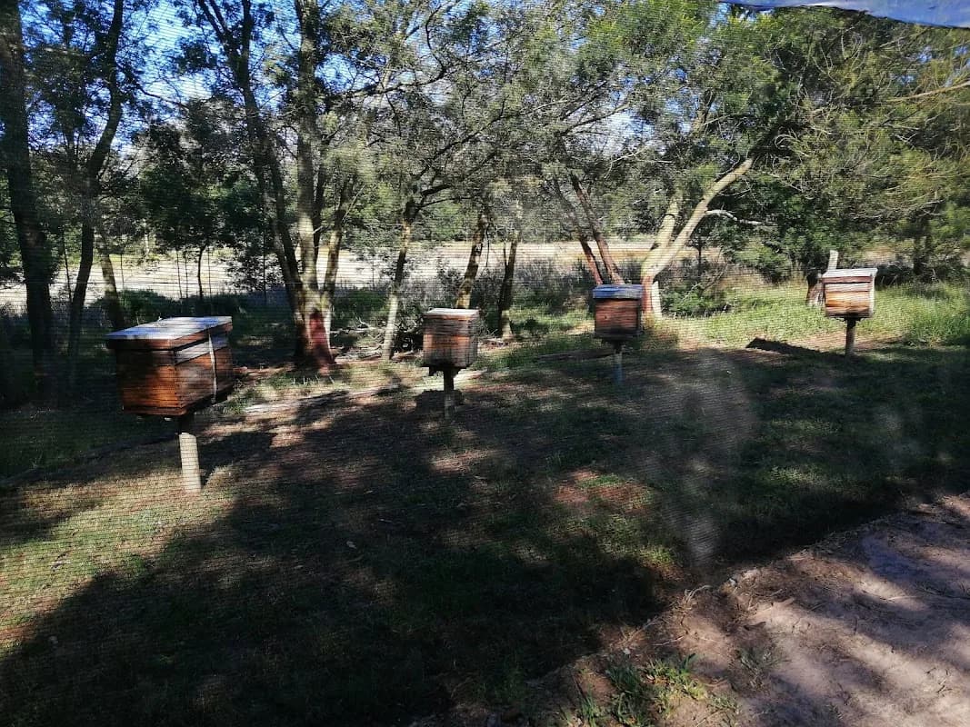 Apiarista Bee Farm in Gqeberha CBD