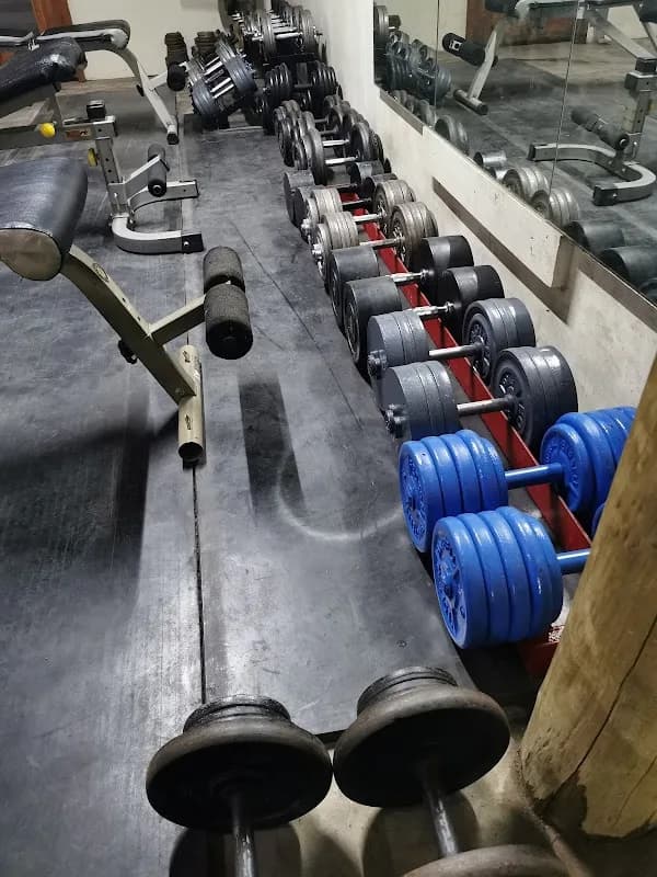 Pik's Gym in The Moot