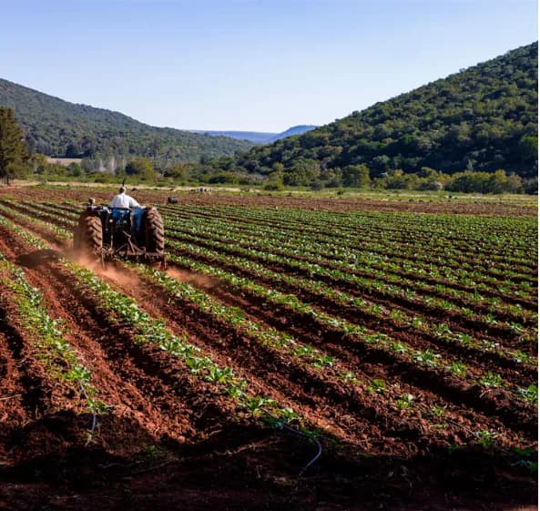SmartAgrIoT in Chatsworth