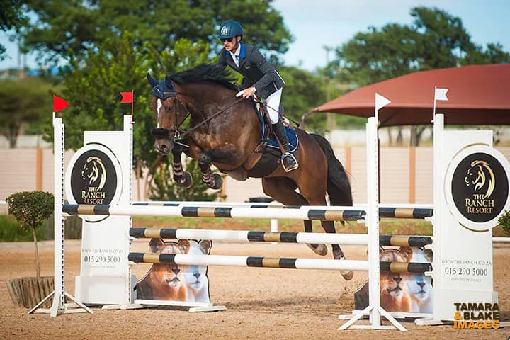 Revil Stables in Polokwane CBD