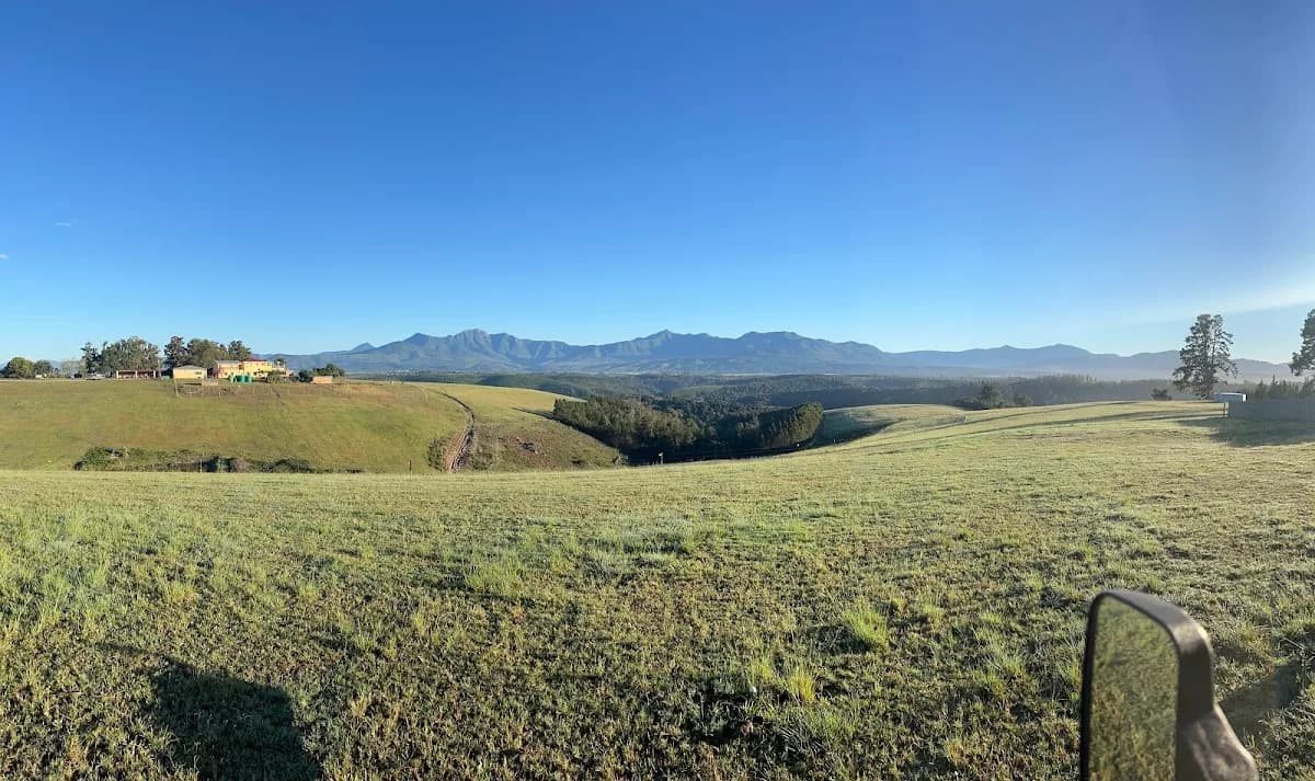 Carr's Cape Farms in Sedgefield