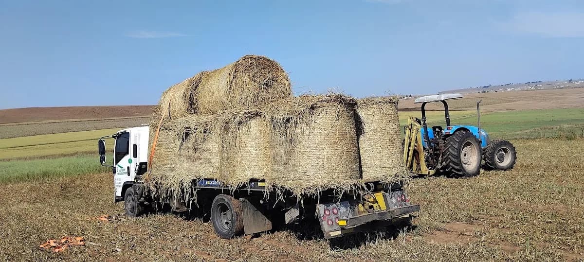 Mhlonitshwa Farming Services in Mthatha CBD