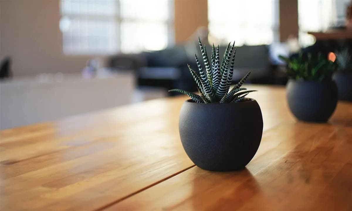 TREE CROWN CONSULTING in Brooklyn