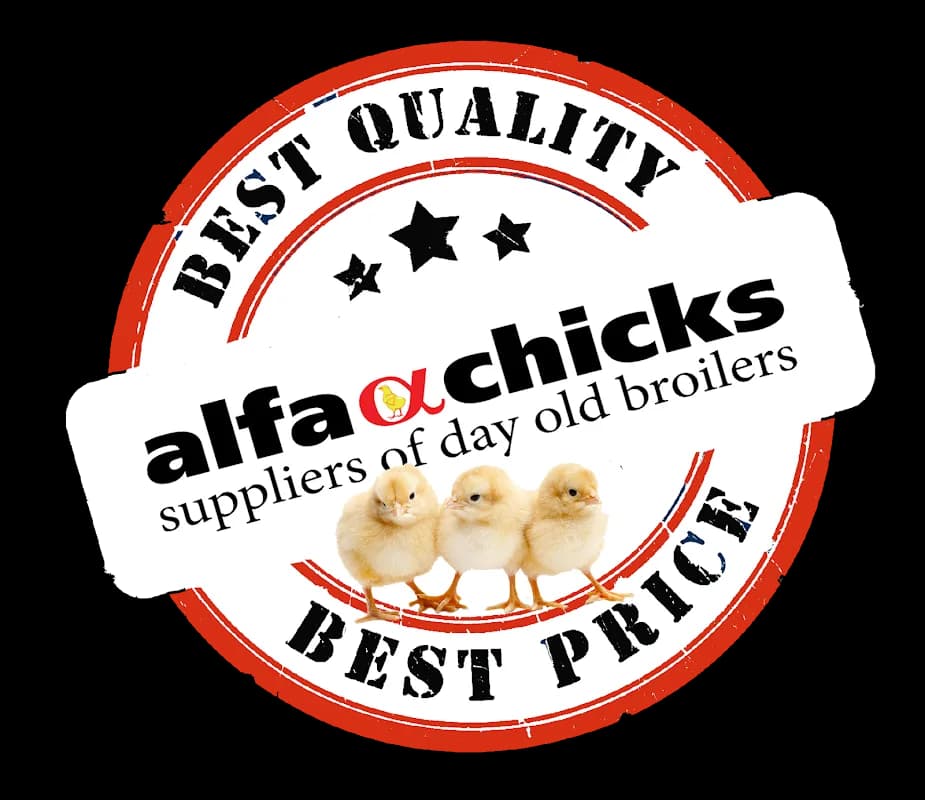 Alfa Chicks - Alberton Deliveries in Alberton