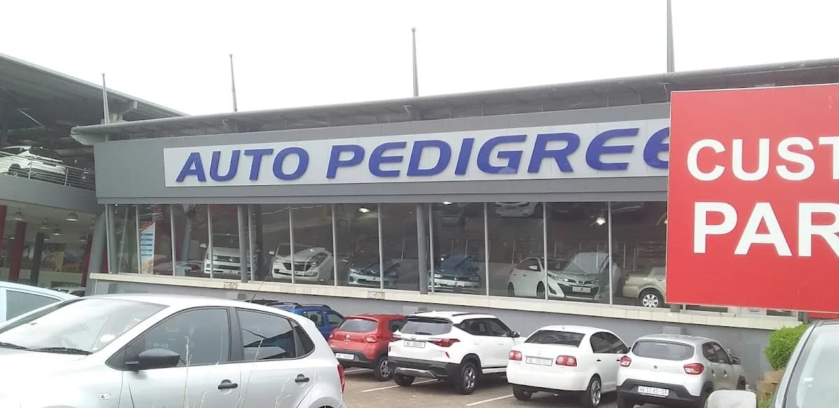 Auto Pedigree Pinetown in Pinetown