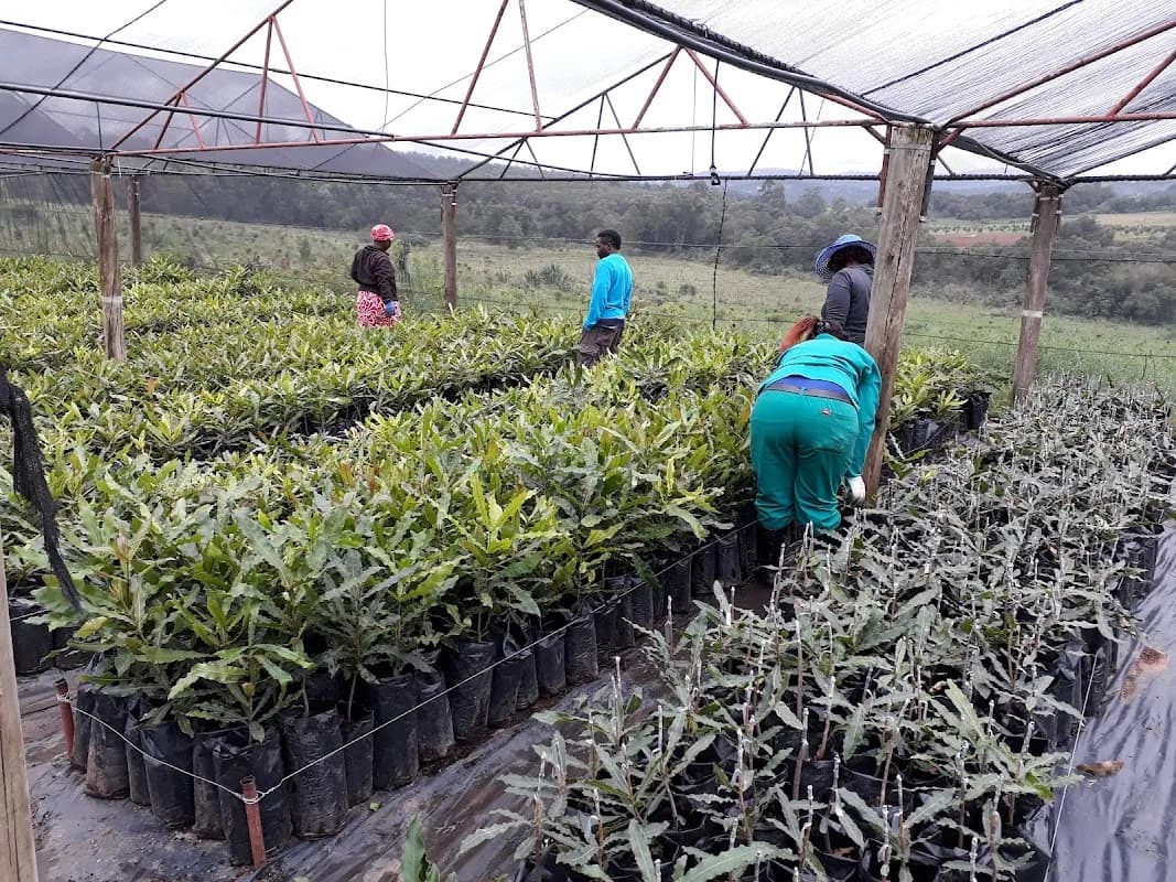 MacManna Farms in Nelspruit CBD