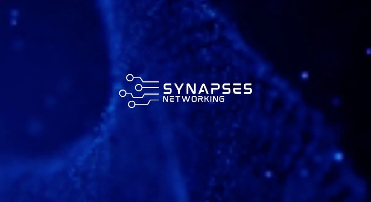 Synapses Networking in Benoni CBD