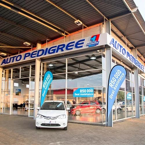 Auto Pedigree Mthatha in Southernwood