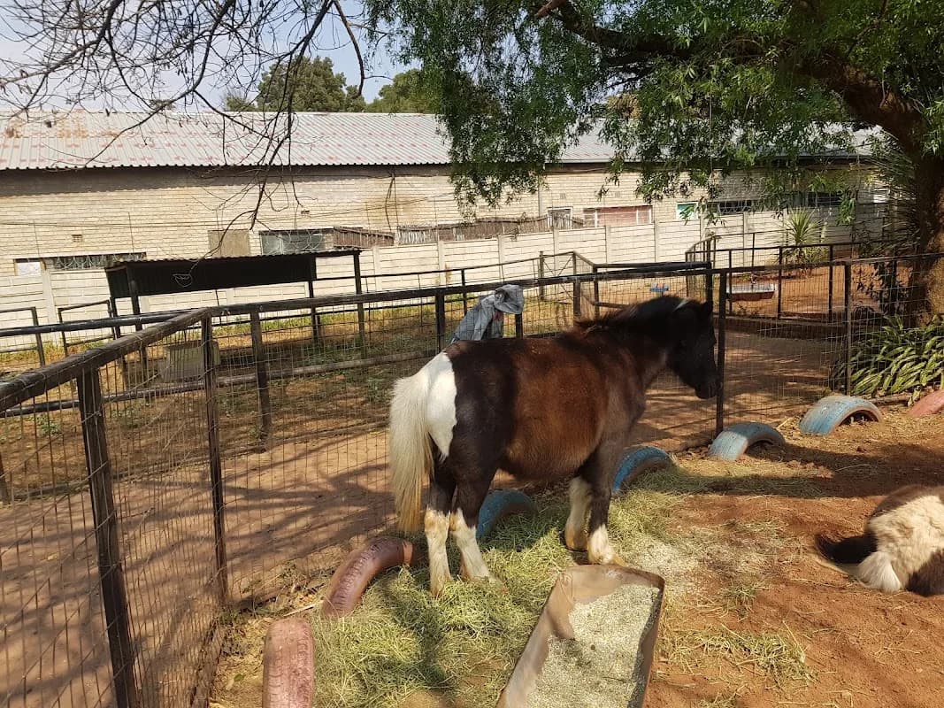 Village Pet and Bird Farm in Roodepoort