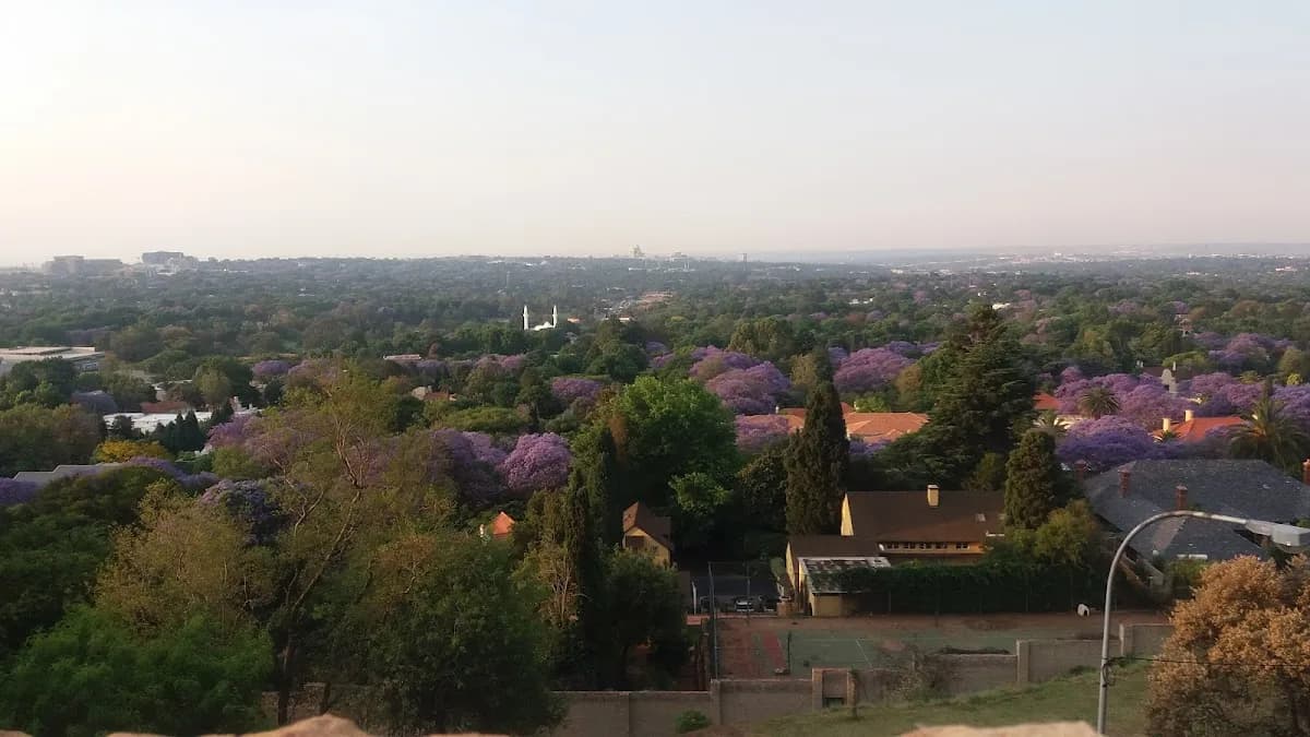 Medigro Insurance Brokers in Houghton