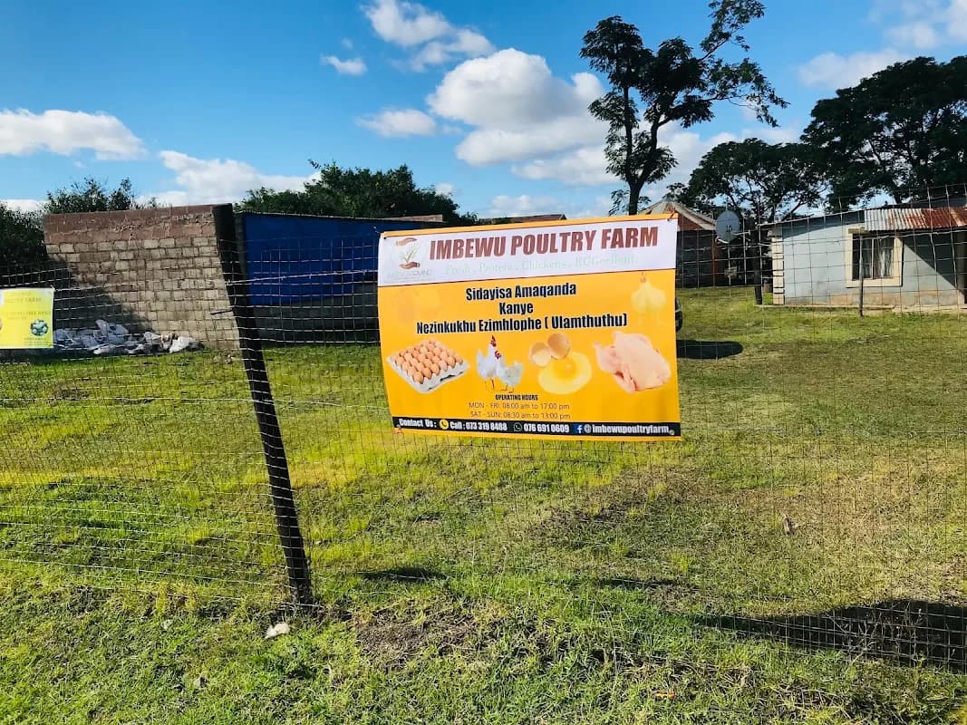 Imbewu Poultry Farm in Pietermaritzburg CBD