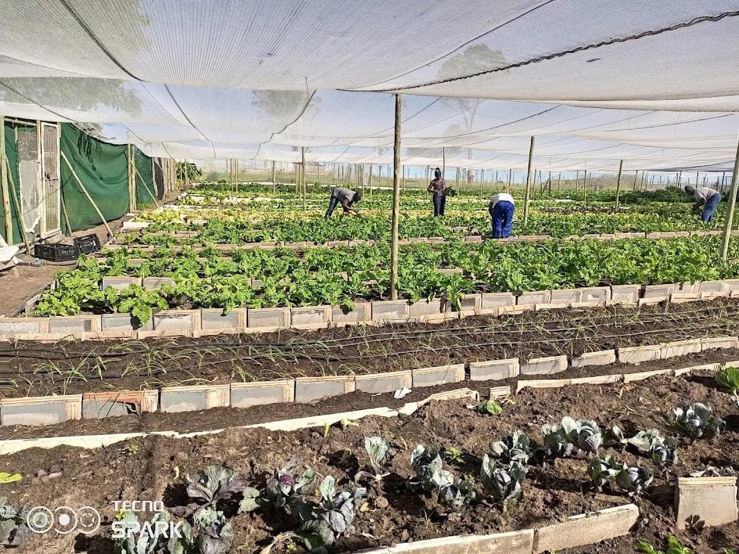 Farms Port Elizabeth in Gqeberha CBD