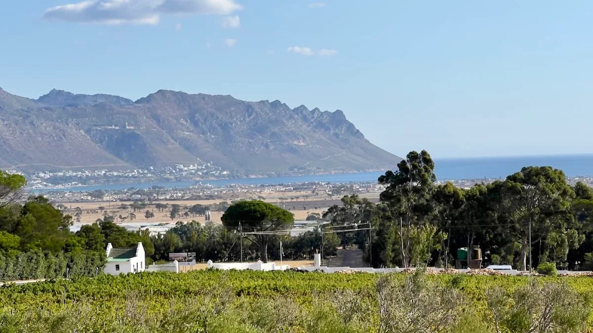 Capelands Wine Farm & Guesthouse in Gordon's Bay