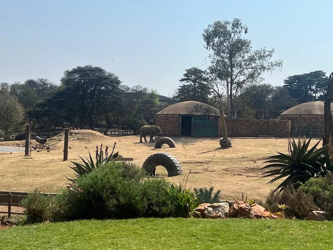Elephant Enclosure - Johannesburg Zoo in Johannesburg CBD