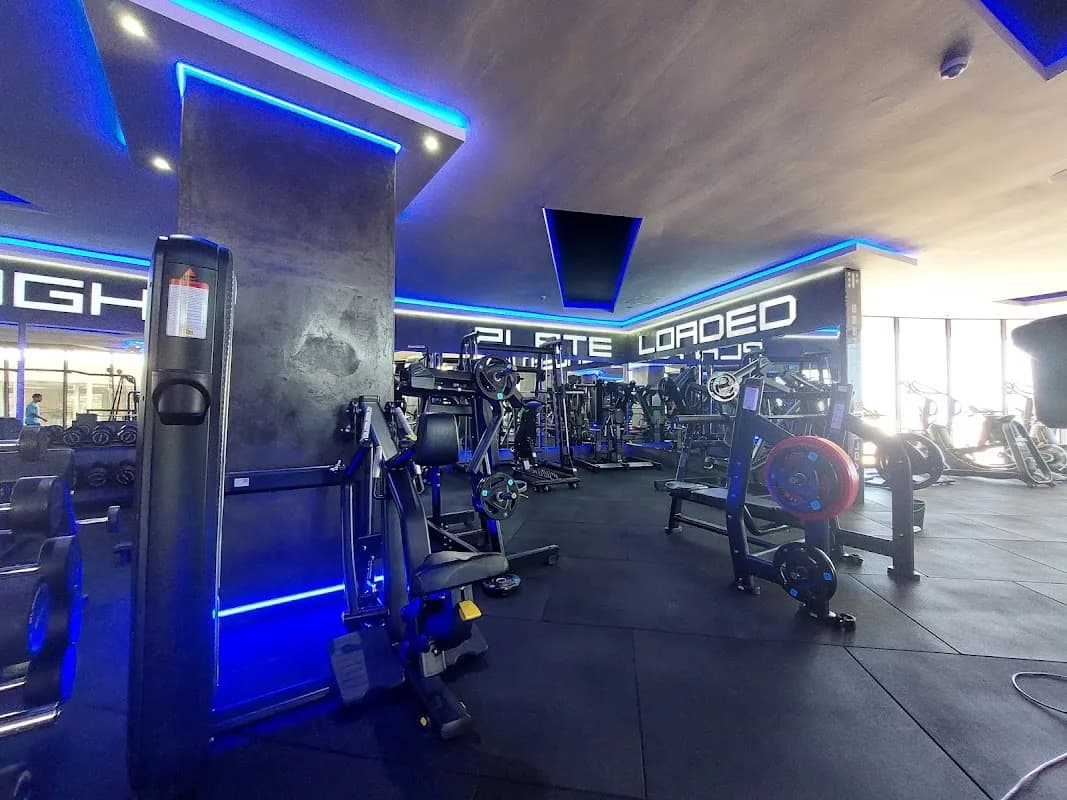 Evolution Fitness in Gordon's Bay