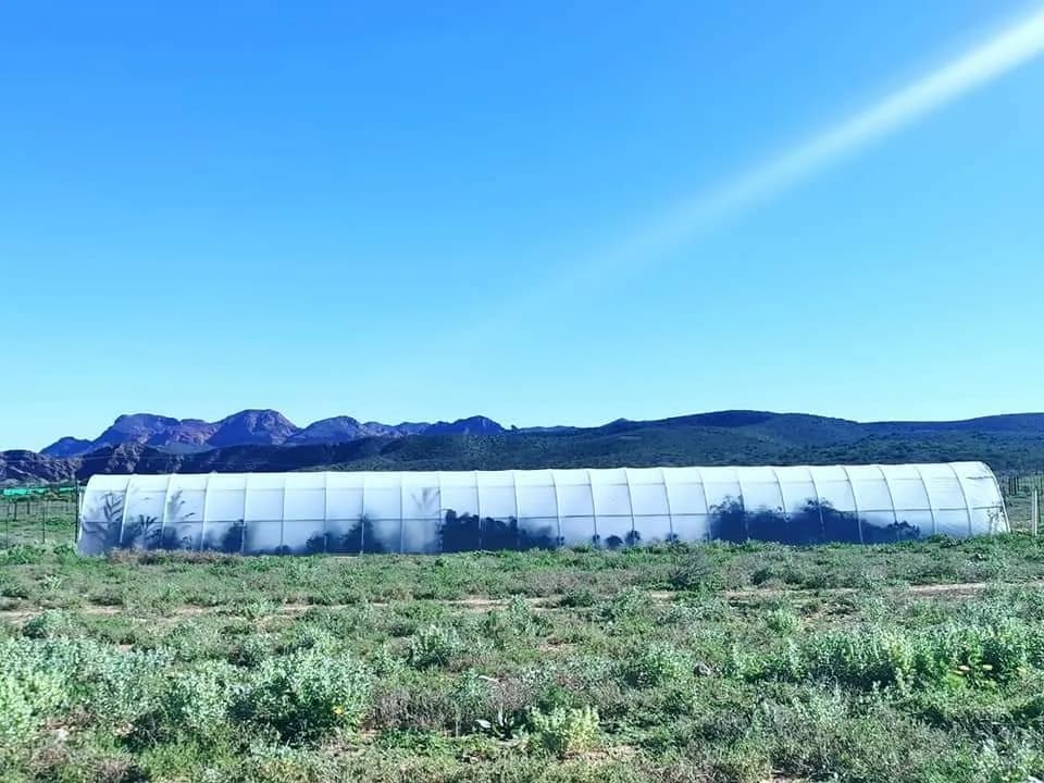 Eco Tunnels - Greenhouse Tunnel Suppliers in Wilderness