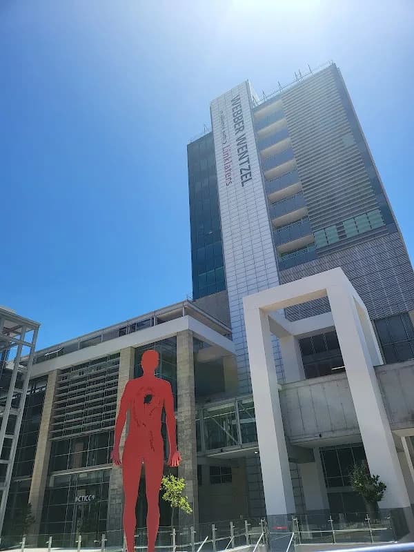 Webber Wentzel in V&A Waterfront