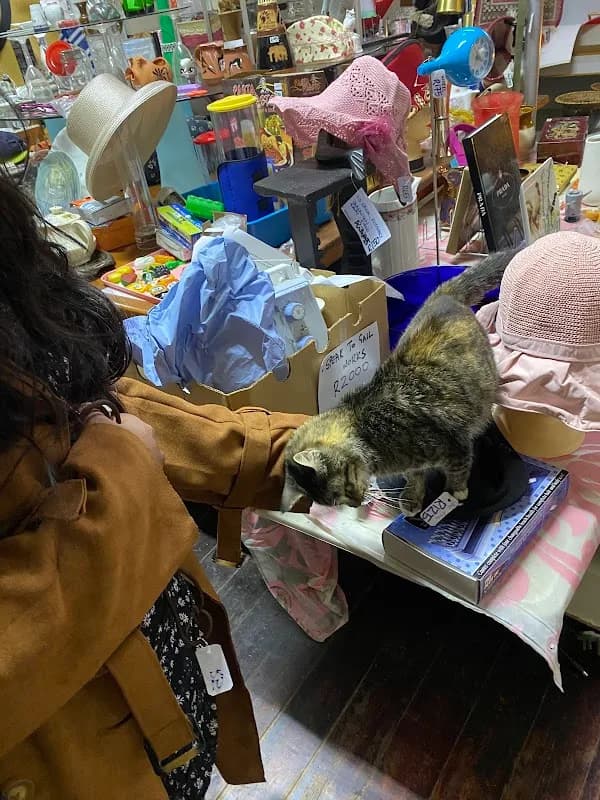 Patriks Consulting (Pty) Ltd in Melville