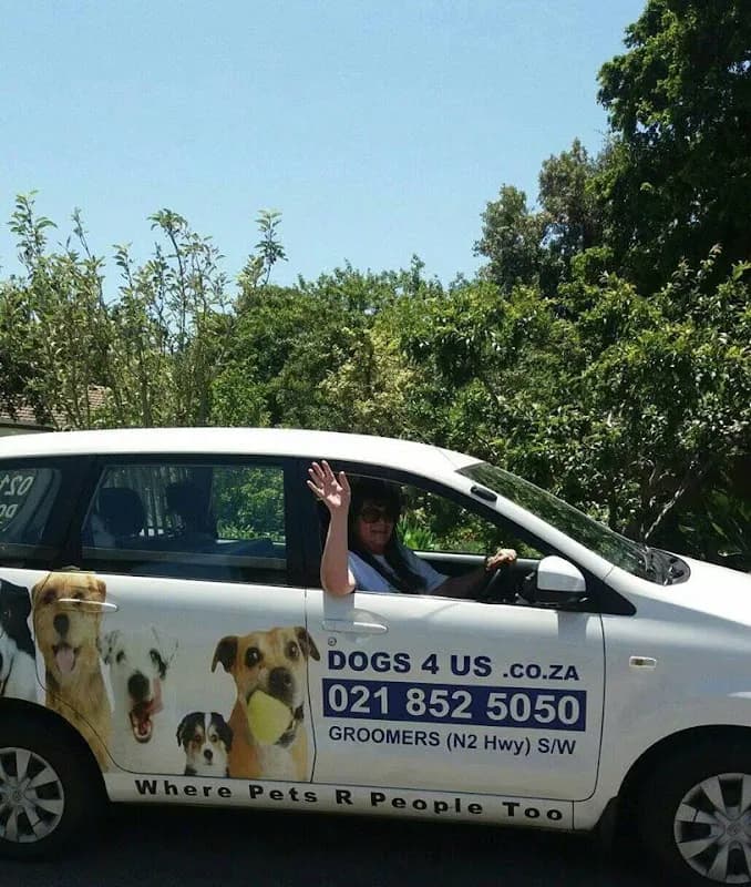 Dogs 4 Us in Somerset West CBD