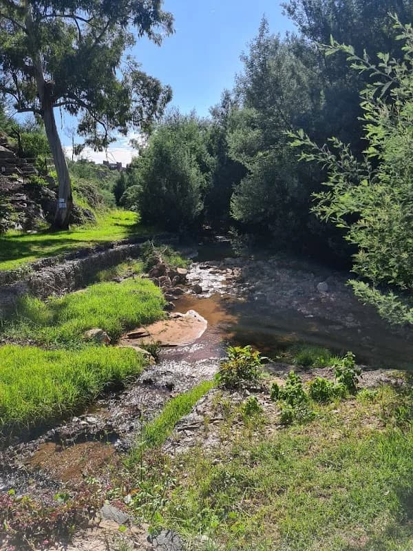 Manie Mulder Waterfall in Ruimsig
