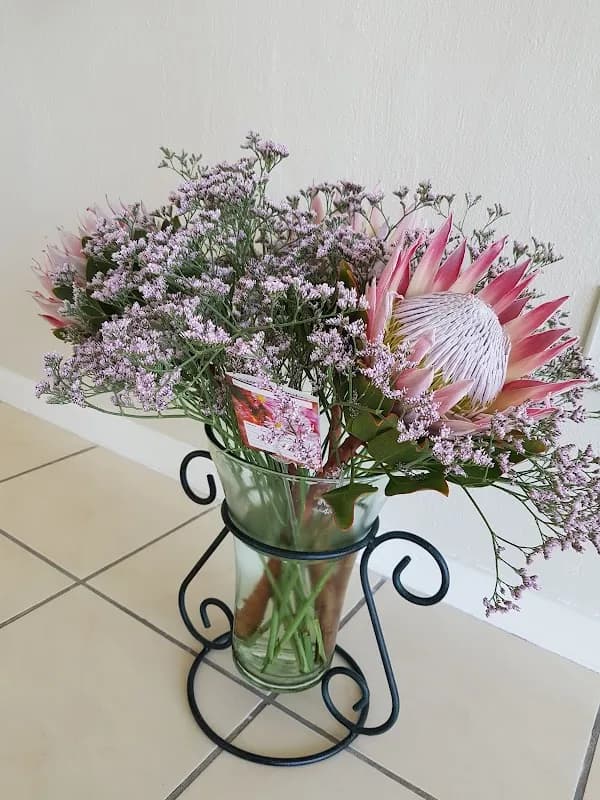 Candice Halstead Optometrist in Ruimsig