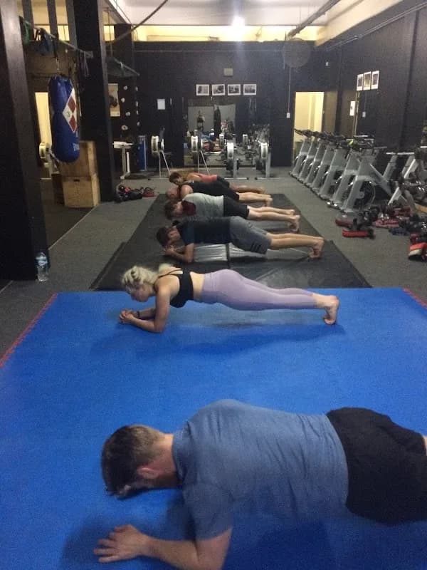 Vector MMA & Fitness in Die Boord