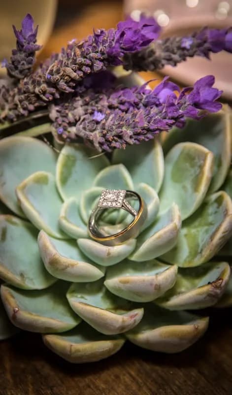 PureLens Photography in Tokai