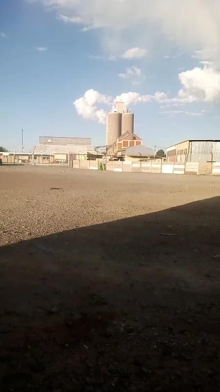 Gritsly Mill in Riebeeckstad
