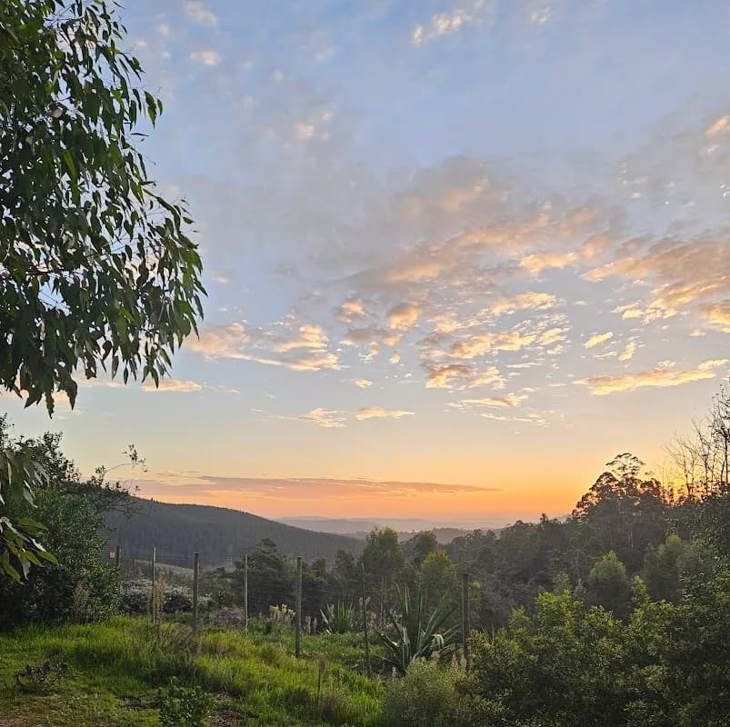 Amper Bo Farm in Sedgefield