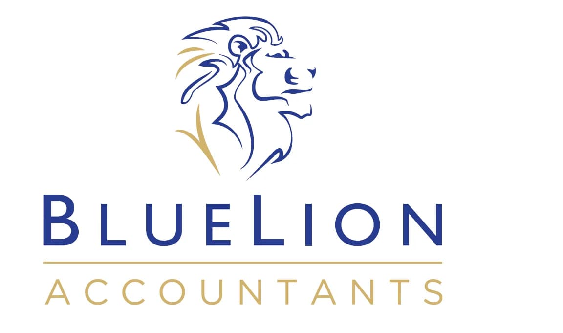 BLUELION ACCOUNTANTS & TAX CONSULTANTS in Nelspruit CBD