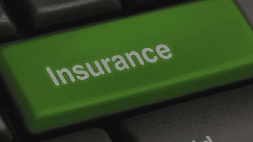 Undercover Insurance Brokers in Primrose