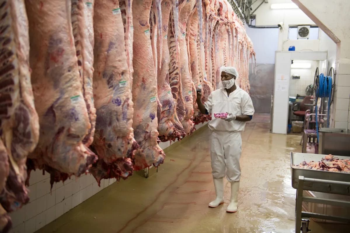 Morgan Abattoir in Springs