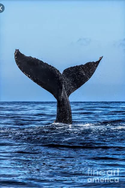 Blue Whale SuperMarket in Ngwelezane