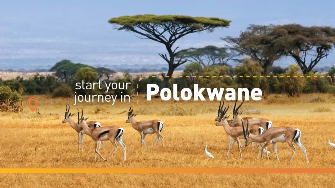 Tempest Car Hire Polokwane in Bendor