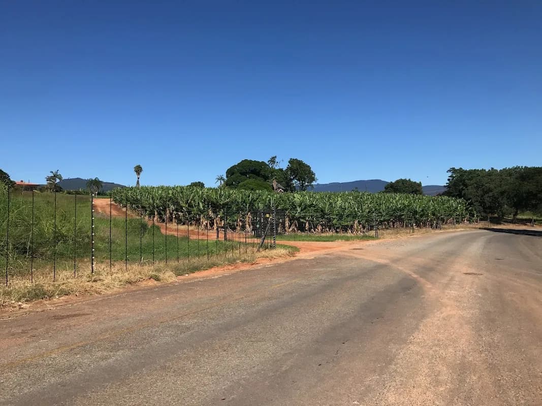 Molani Estate Gate A in Tzaneen CBD