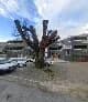 Adv Julie Seton in Knysna CBD