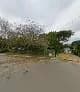 Peggy Mist (Breeder) in Roodepoort CBD