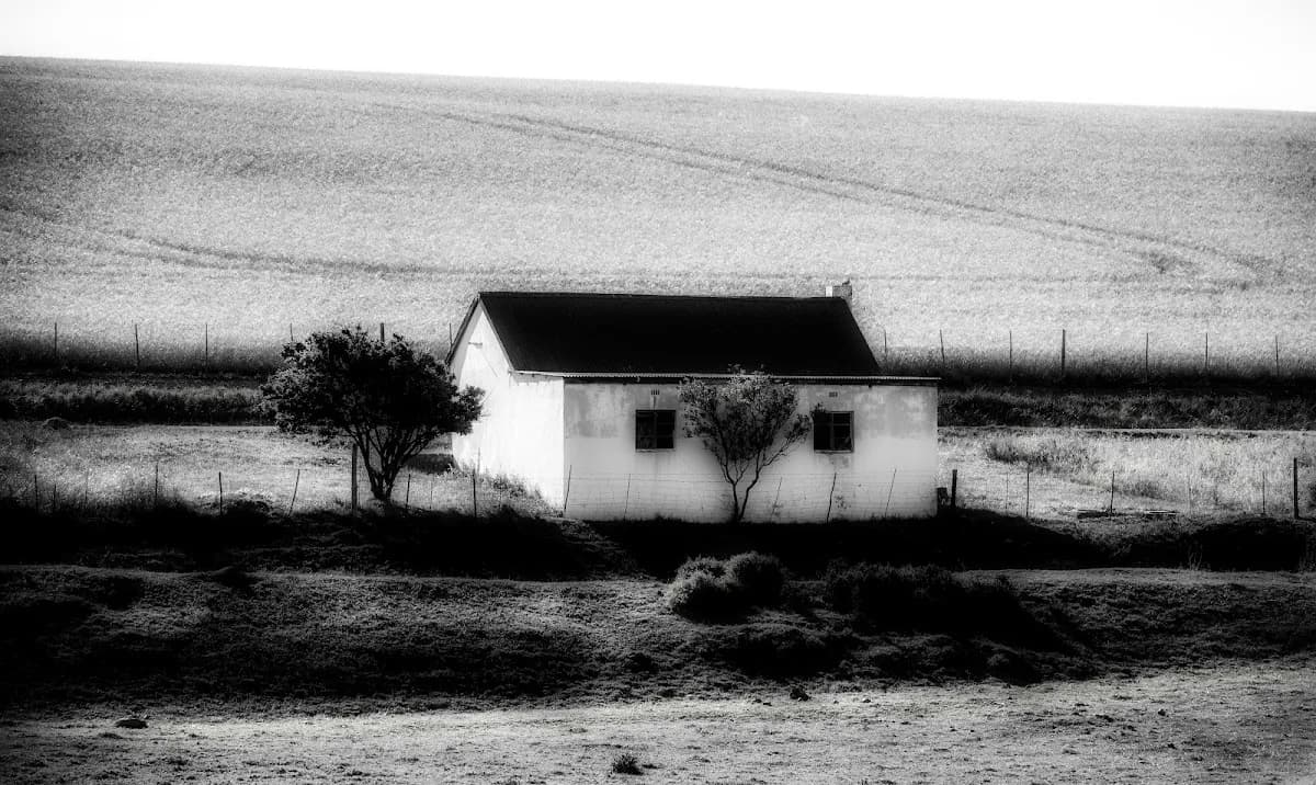africanpix.com in Constantia