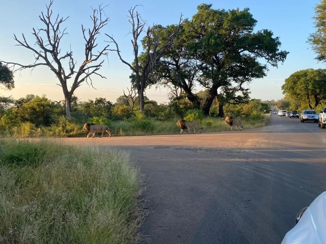 Krugersdorp in Krugersdorp CBD