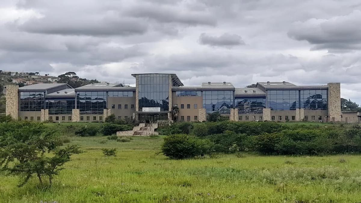 Eastern Cape Department of Social Development in Cambridge East