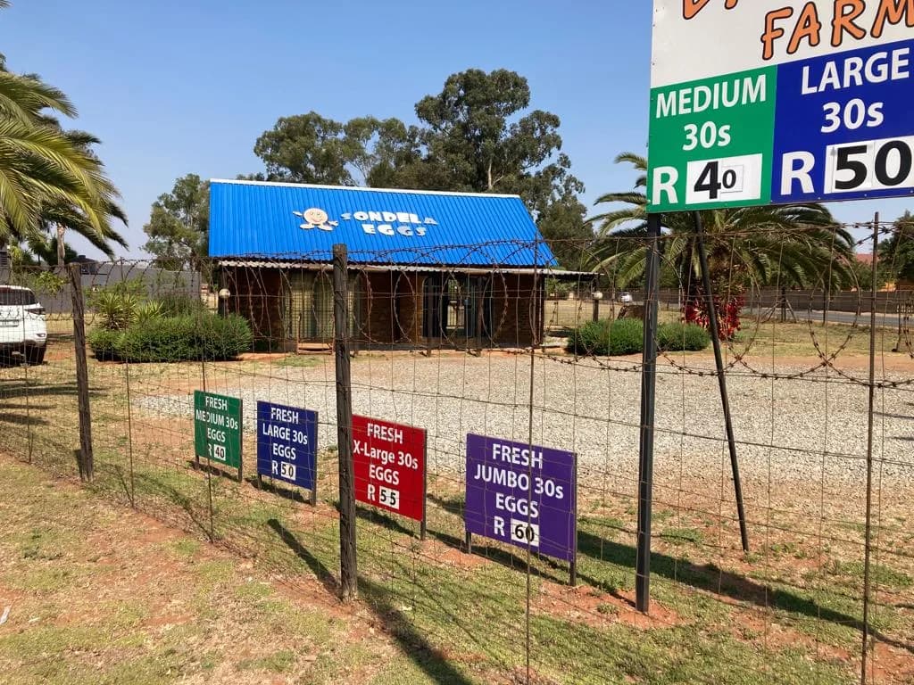 Sondela Eggs, Benoni in Benoni