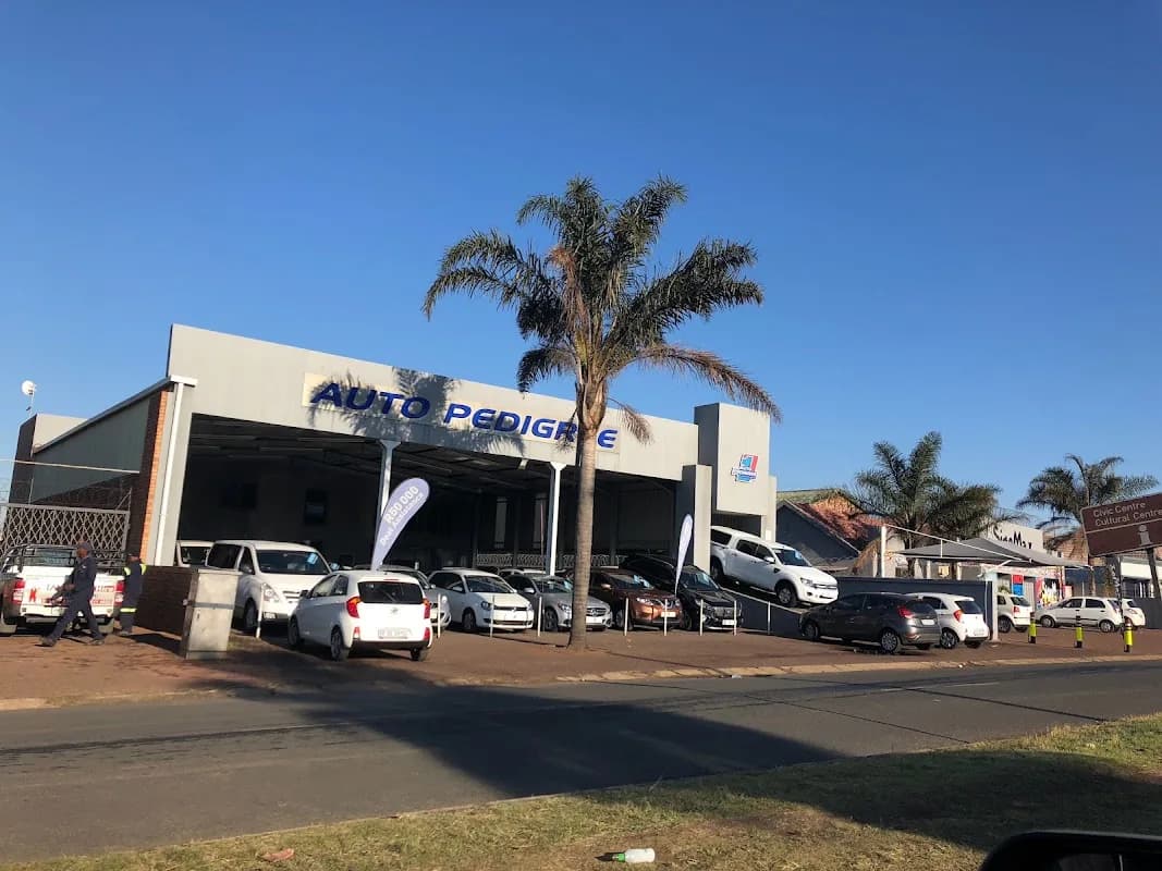 Auto Pedigree Emalahleni in eMalahleni CBD