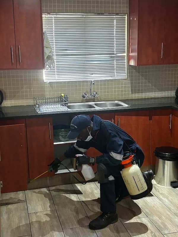 MOONLIGHTING PEST CONTROL AND CLEANING SERVICES PYT LTD in Newtown