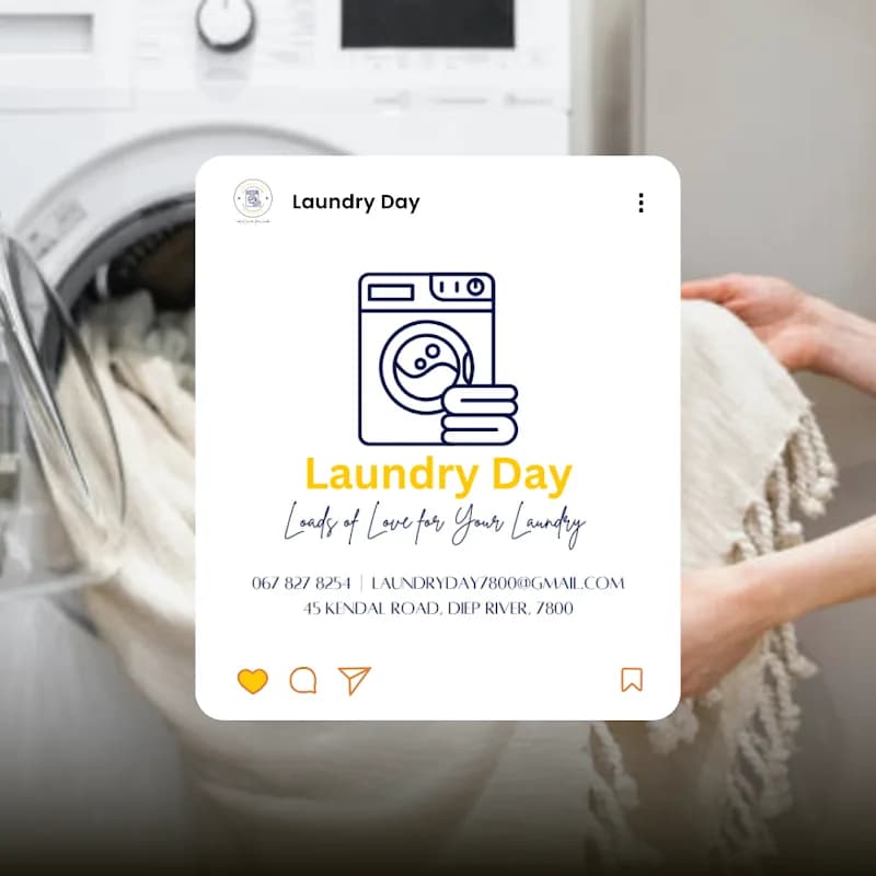 Laundry Day in Constantia